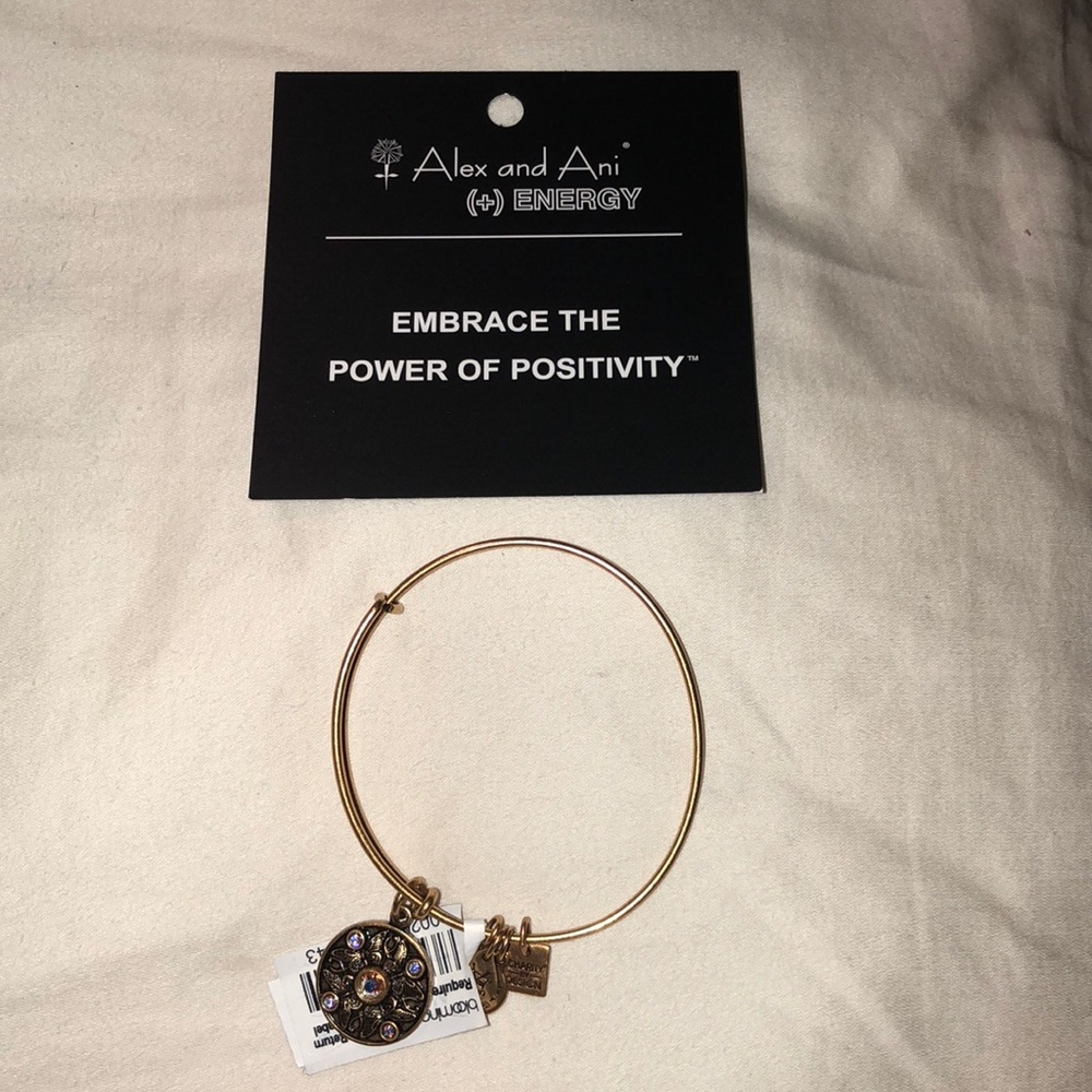 Alex and Ani - energy bracelet